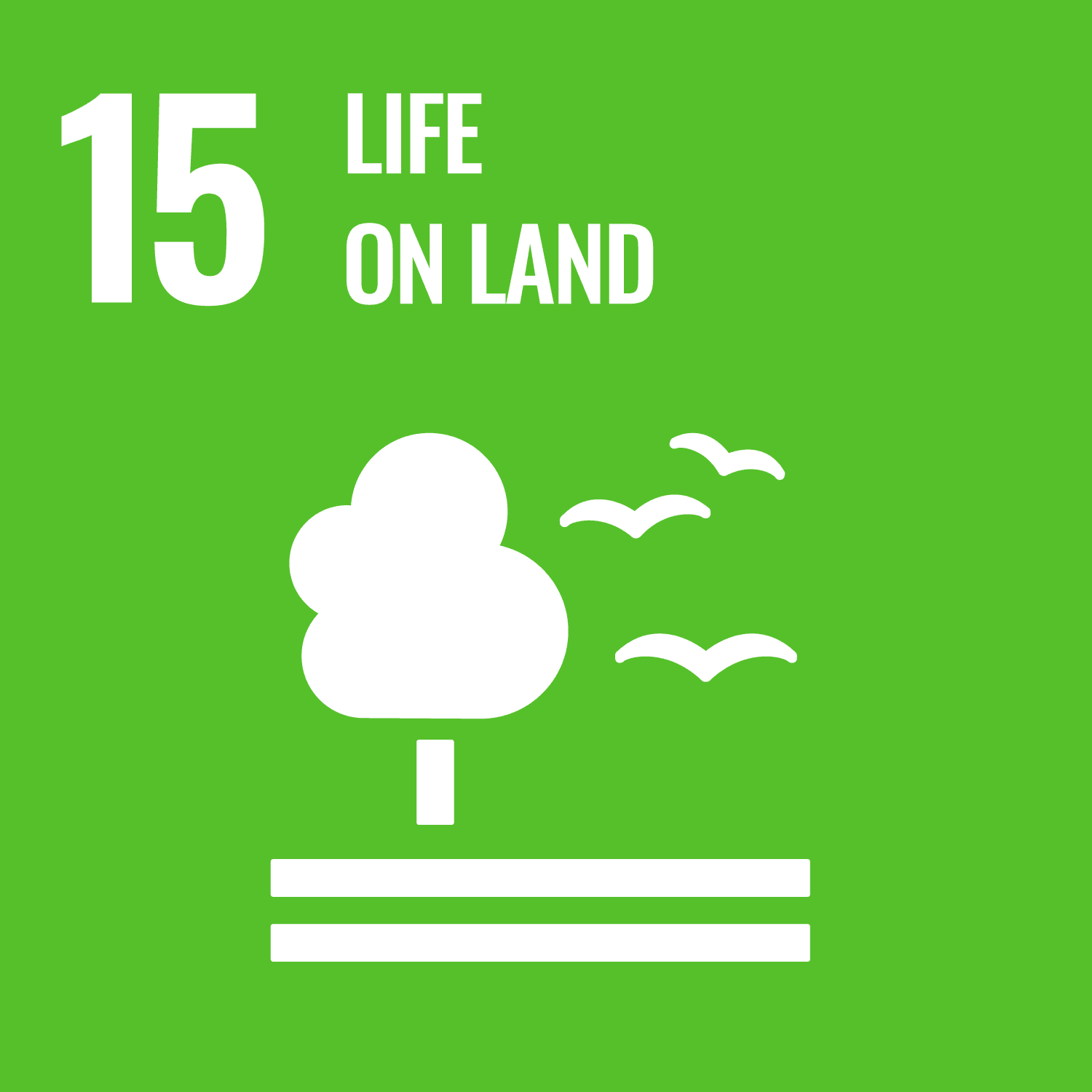 Life on Land SDG Badge