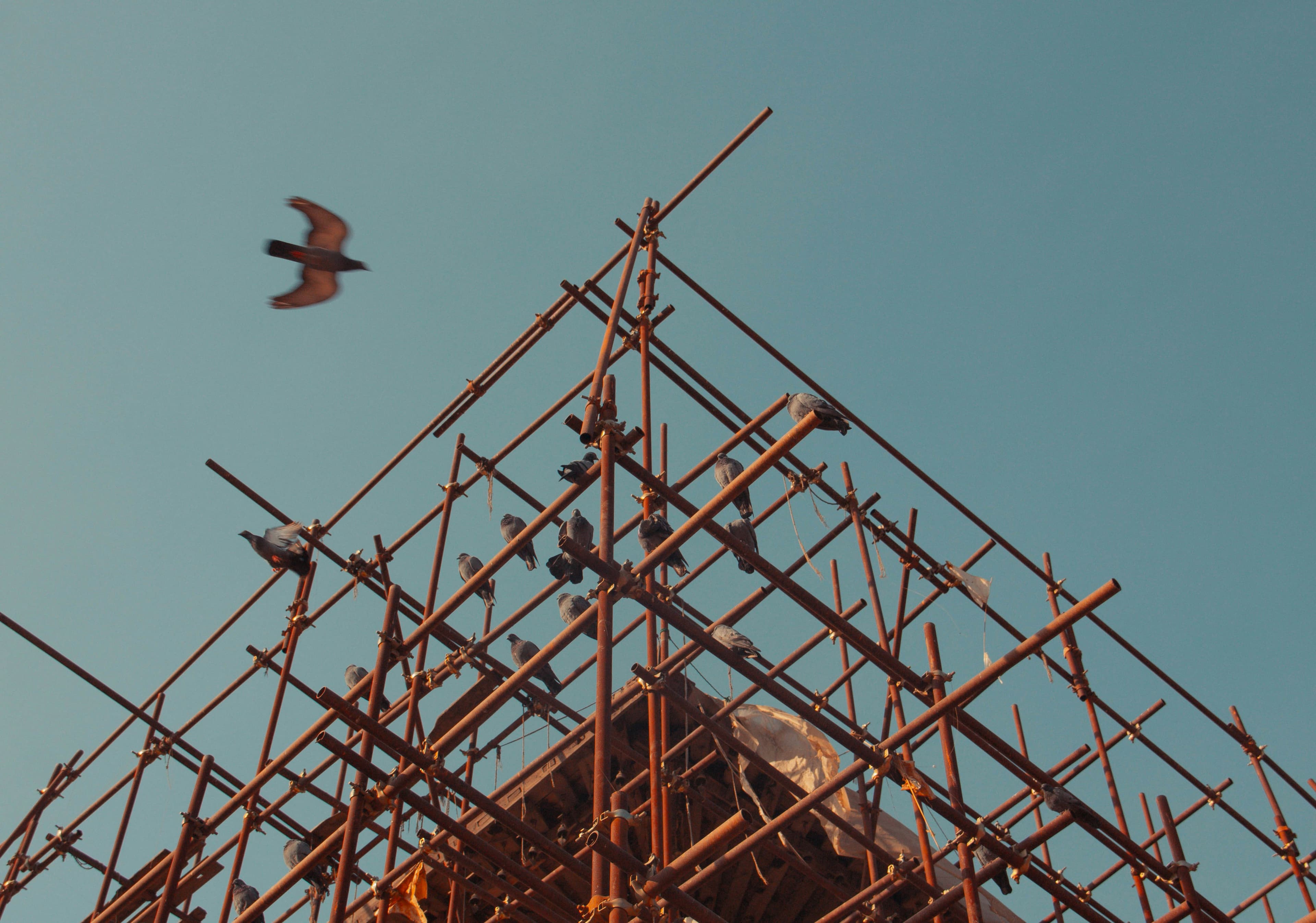Scaling Internal Programs and Assets